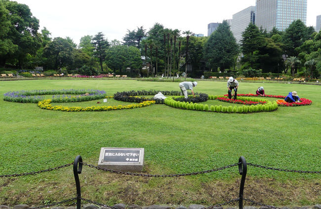 P6640122