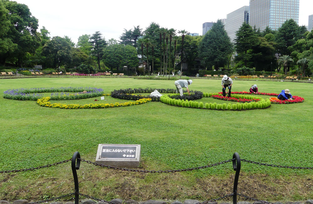 日比谷公園 アガパンサスと初セミ 四季の風2