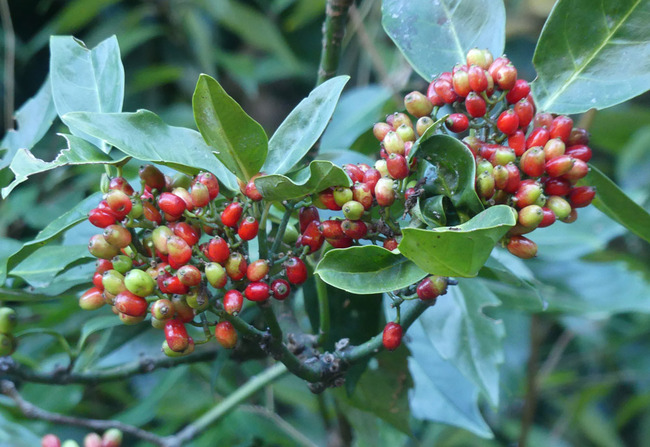 P1240821