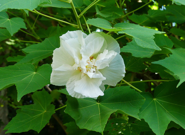 P3470301_edited-1