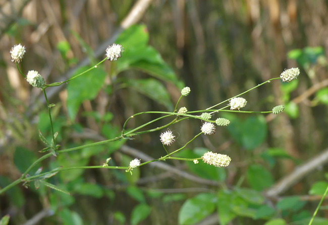 P3490160