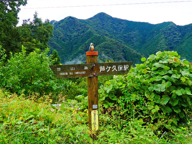 P5650813