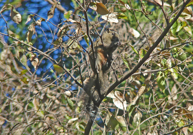 P6830680