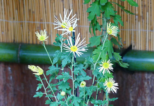 P3590049