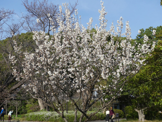 P1570071