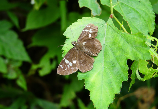P5170710_edited-1