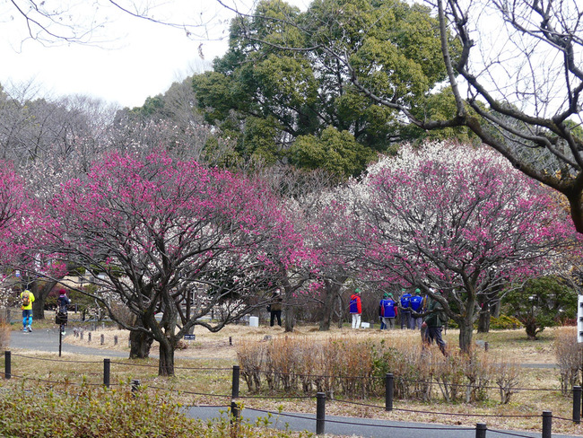 P4550530_edited-1