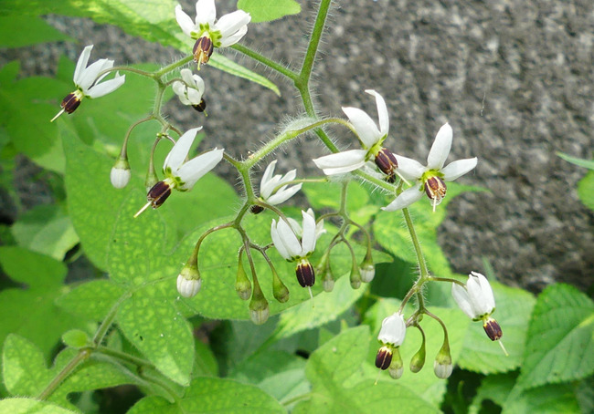 P5040328