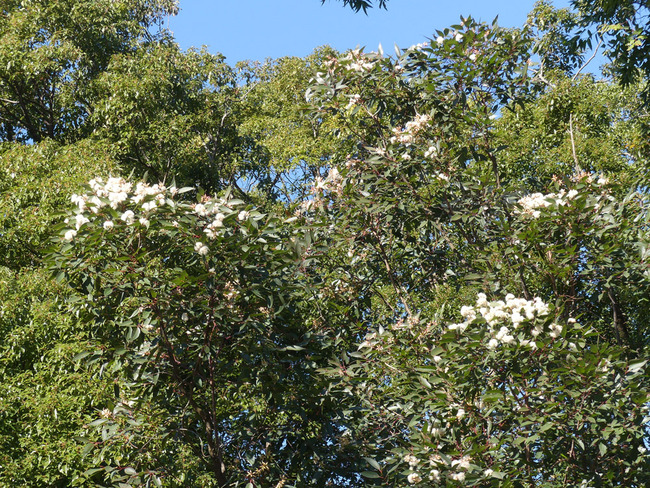 P5980395