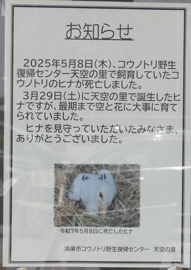 P3000421_edited-1
