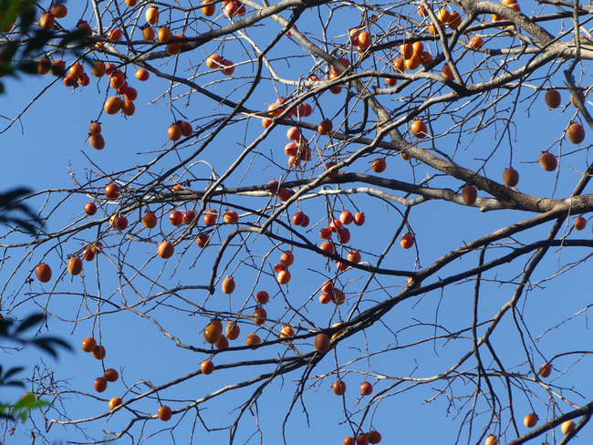 P3730631