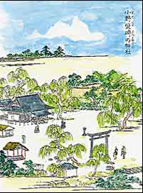 イメージ 4