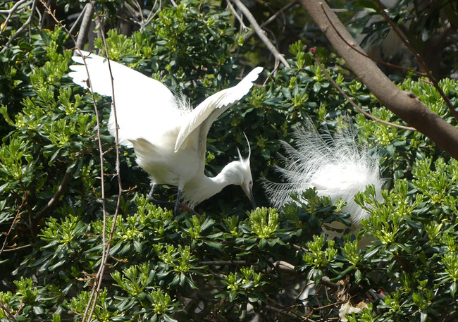 P2750601