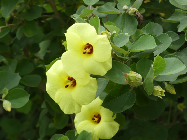 P5060727