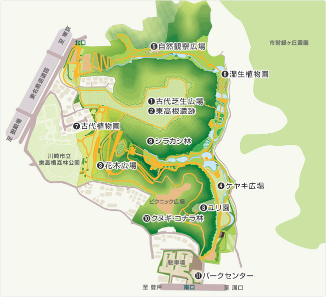 東高根