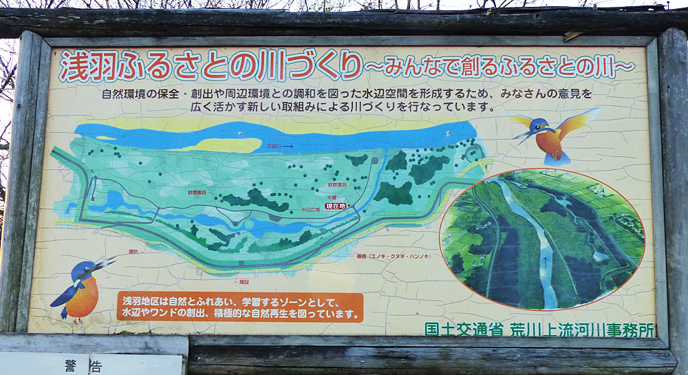 イメージ 12