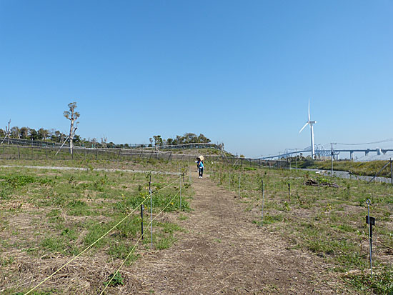 イメージ 8