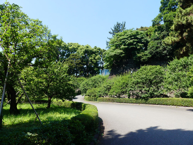 P5220493