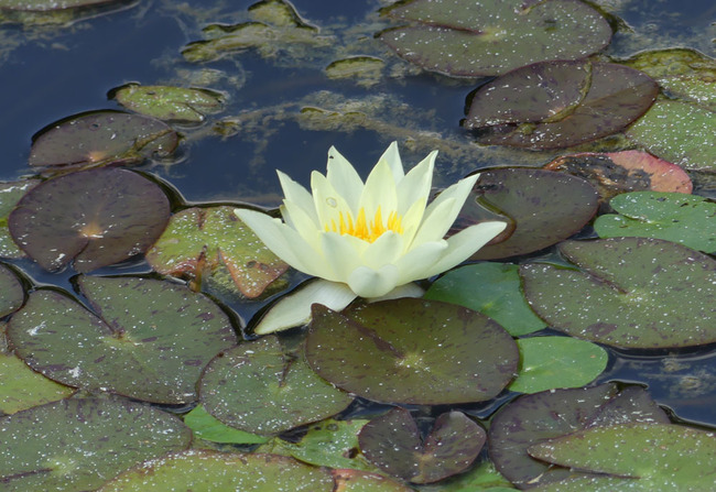 P6710737