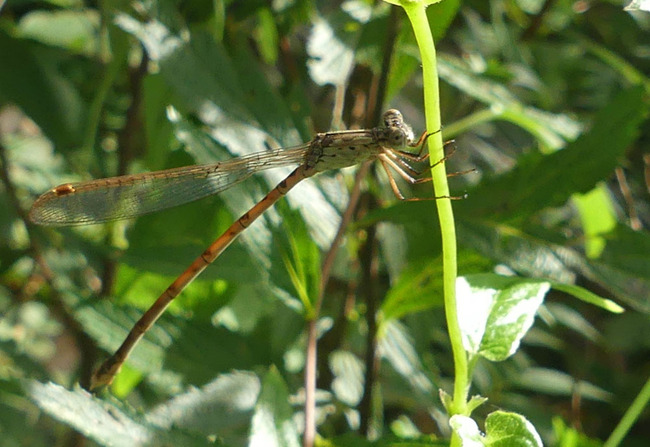 P6790058