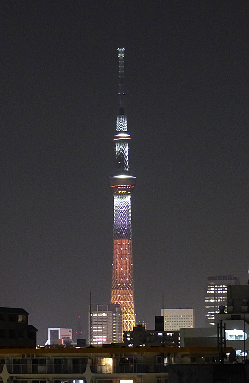 イメージ 11