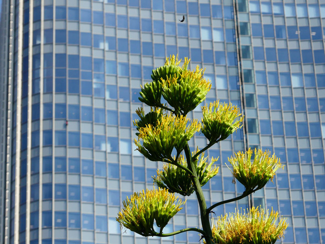 P3600518