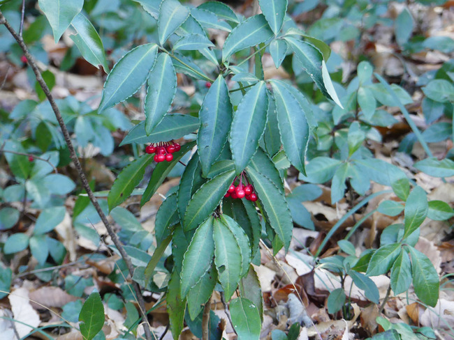 P5740226