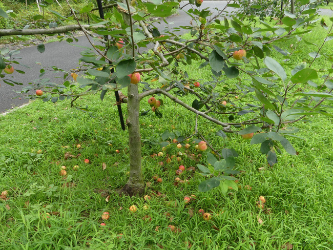 P6810191