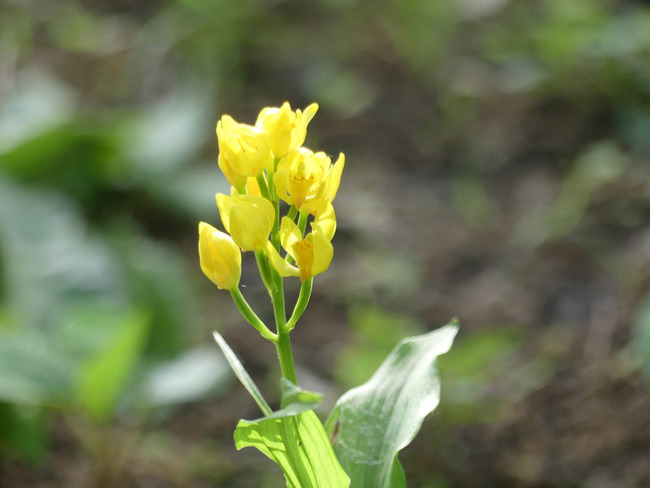 P6350722