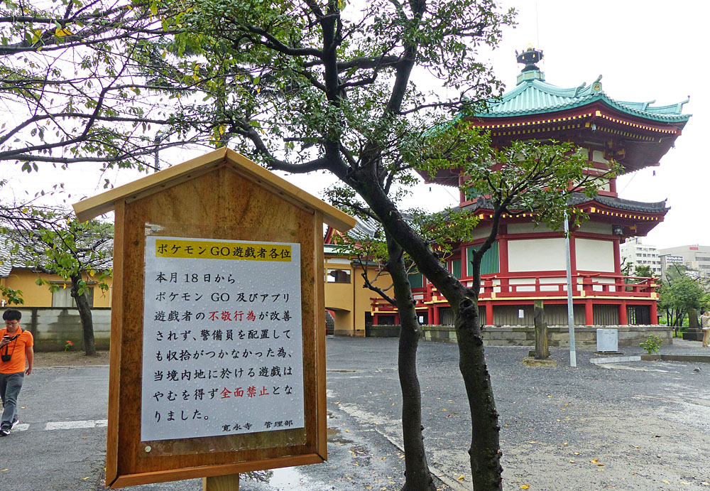 シーボルト展 木場公園の蝶たち 四季の風2