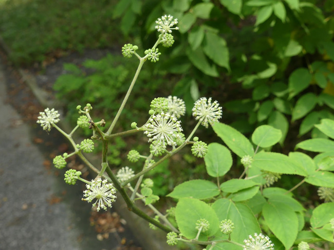 P6800842_edited-1