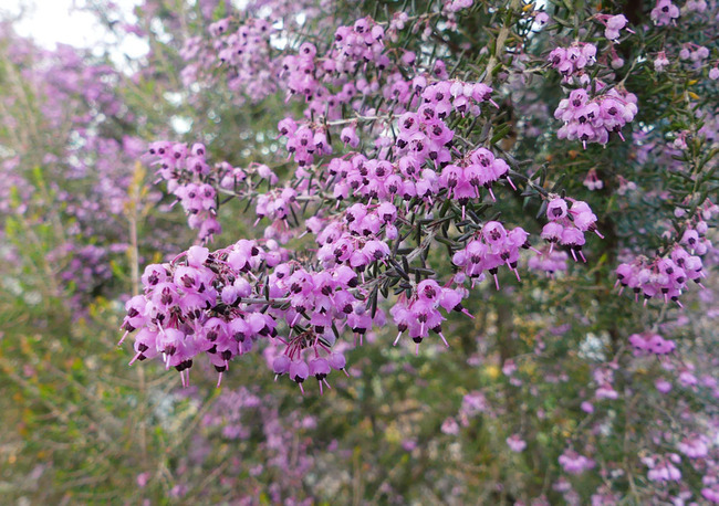 P5790335