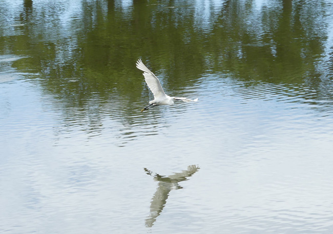 P3660856