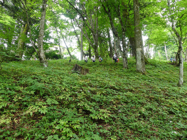 P5420003