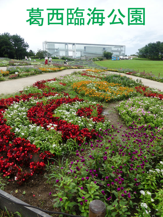 葛西臨海公園 浜の花 四季の風2