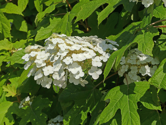 P4820646