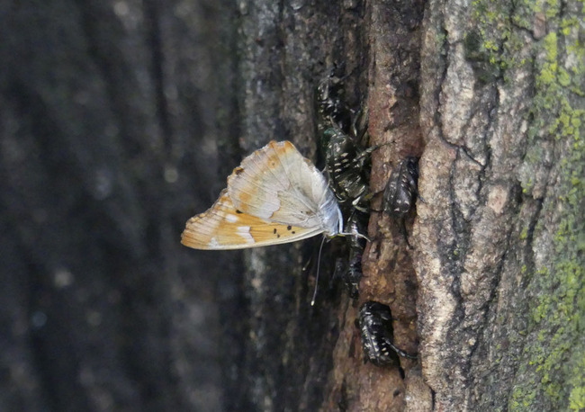 P3560069