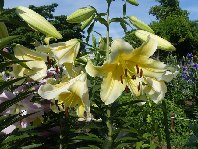 P5220701