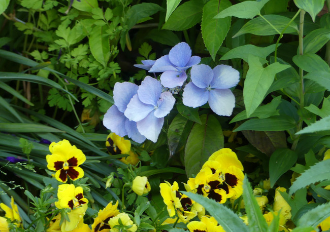 P4690336_edited-1