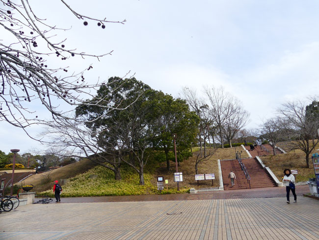 P4360501