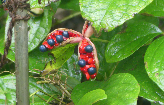 P4630317_edited-1