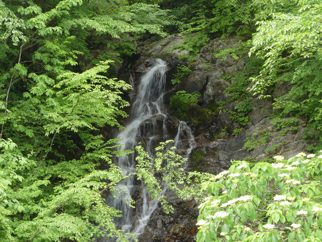 P6510528
