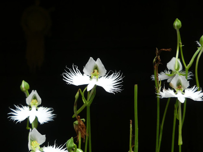 P3550978