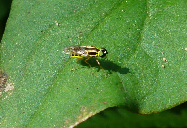 P6730311