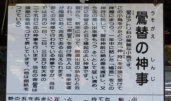 イメージ 13