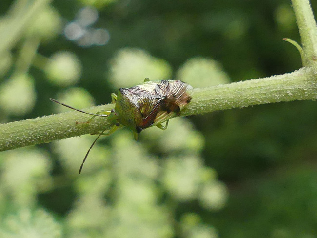 P4570556