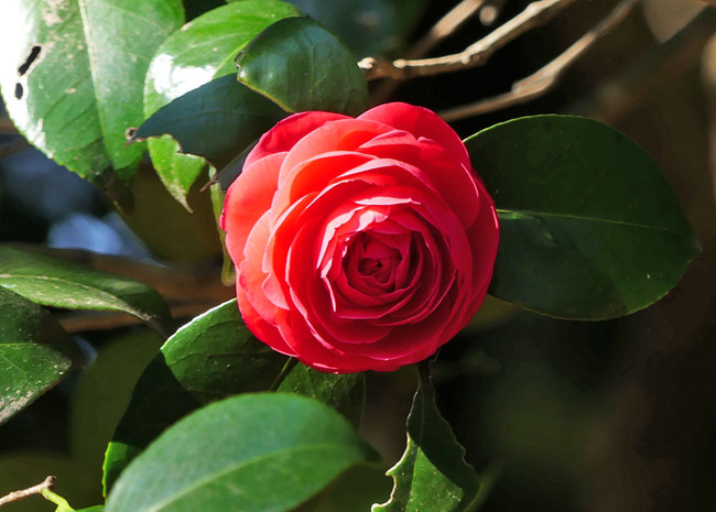 P6150595