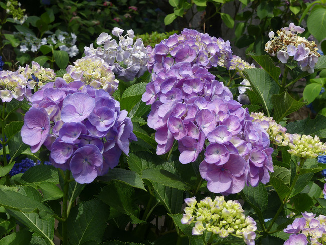 P3100316
