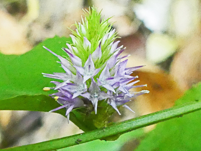 P3480807