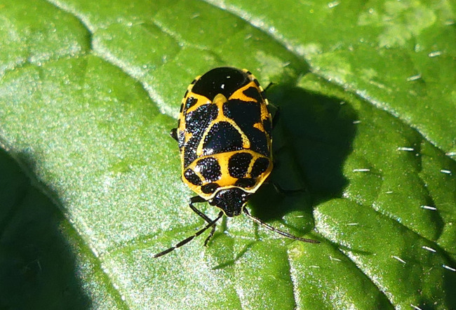 P1190357